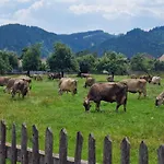Apartment Flat Bull Mit Garten