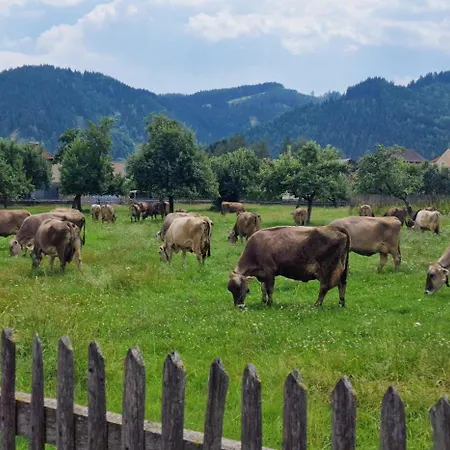 アパート Flat Bull Mit Garten