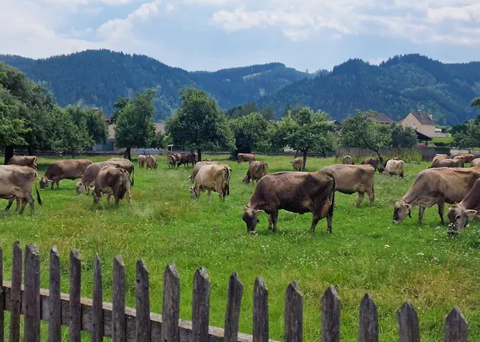 Lägenhet Flat Bull Mit Garten